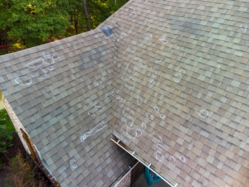 Asphalt Roof Inspection in Nederland, CO