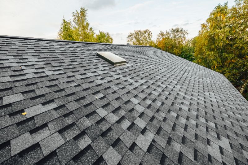 Asphalt Shingles Installation in Nederland, CO