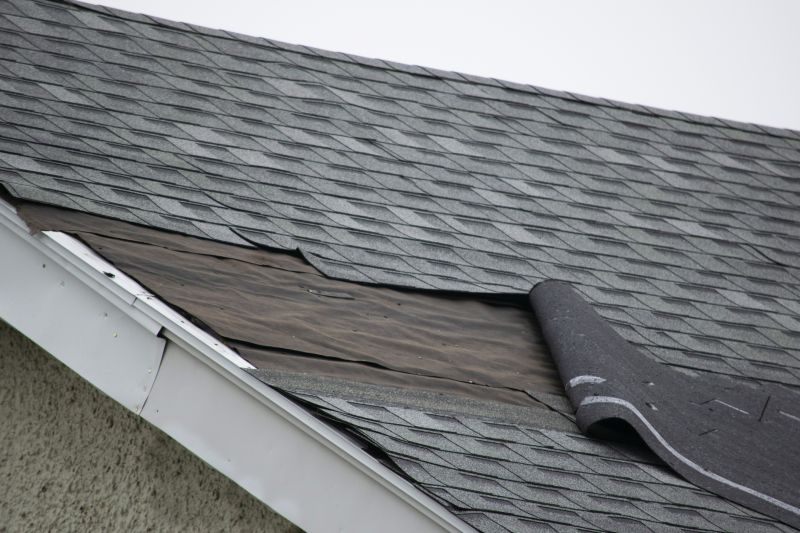 Asphalt Shingles Repair in Loveland, CO