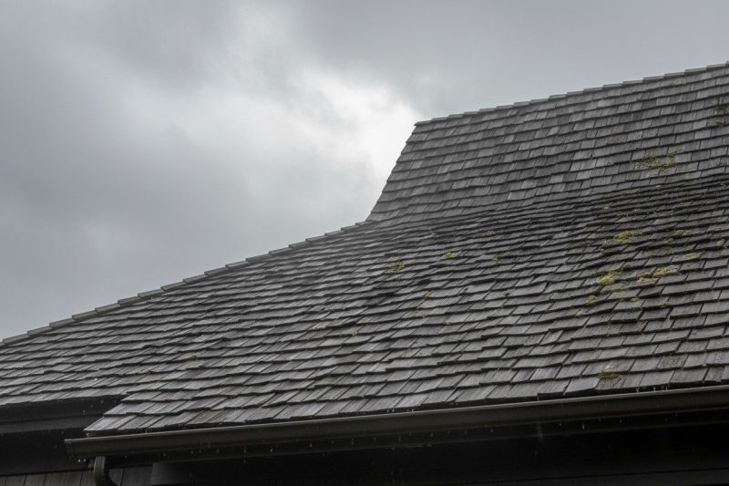 Cedar Roof Replacement in Allenspark, CO