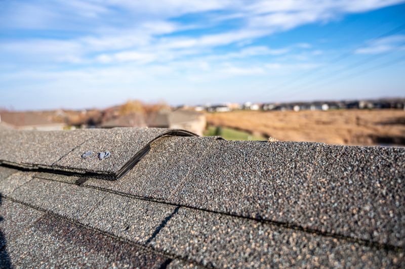Damaged Roof Repair in Allenspark, CO