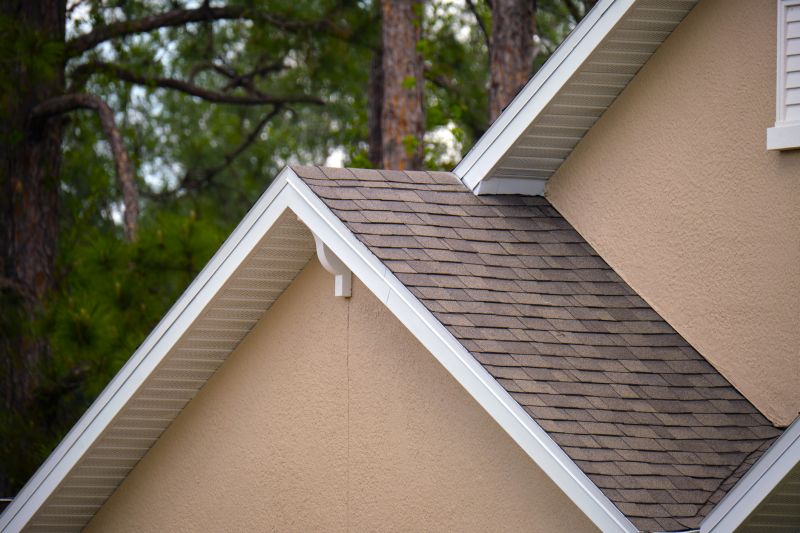Damaged Roof Repair in Longmont, CO