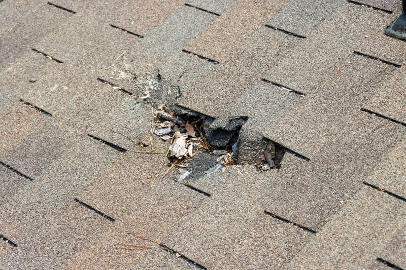 Damaged Roof Replacement in Nederland, CO