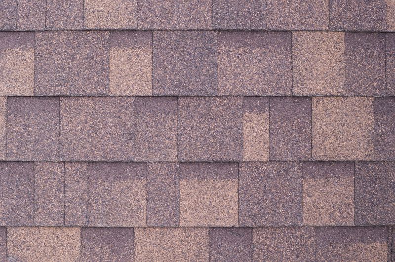 Fiberglass Shingles Repair in Boulder County, CO