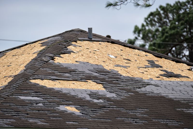 Roof Damage Restoration in Allenspark, CO