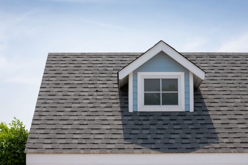 Roof Patching Service in Boulder County, CO