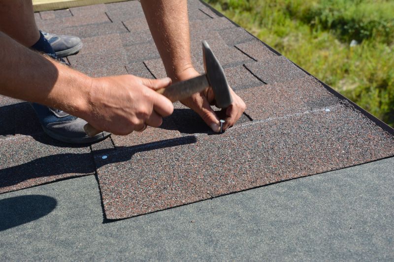 Roof Shingles Replacement in Milliken, CO