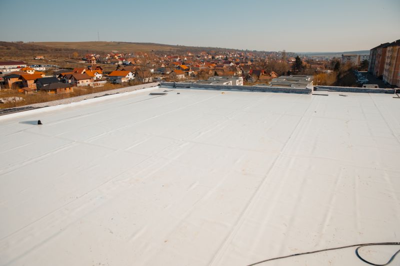 Rubber Roof Repair in Longmont, CO