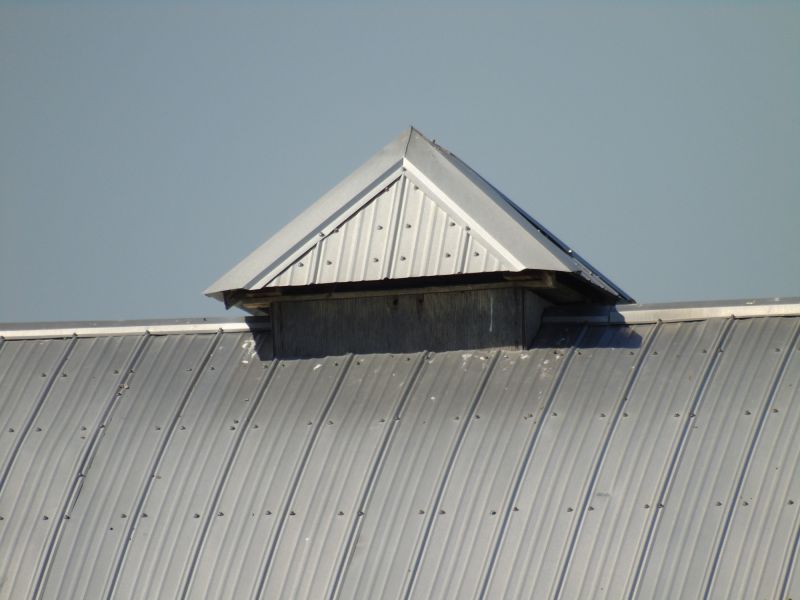 Tin Roof Installation in Louisville, CO