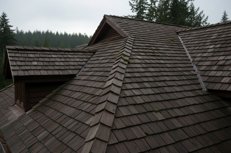 Wood Shake Roof Replacement in Brighton, CO